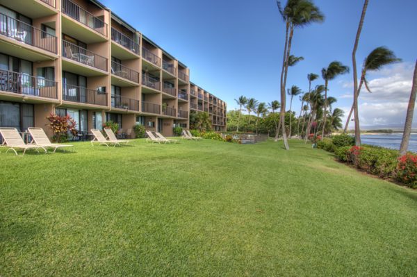 lawn