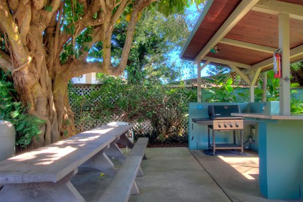 picnic area