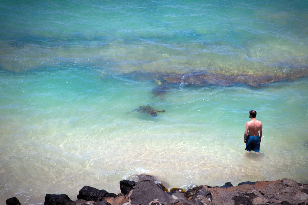 Kaleialoha – West Maui Vacation Rentals Resort-4