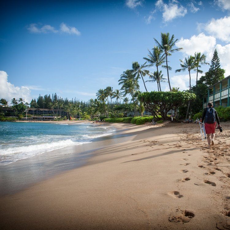 Napili West Maui Maui Beachfront Rentals