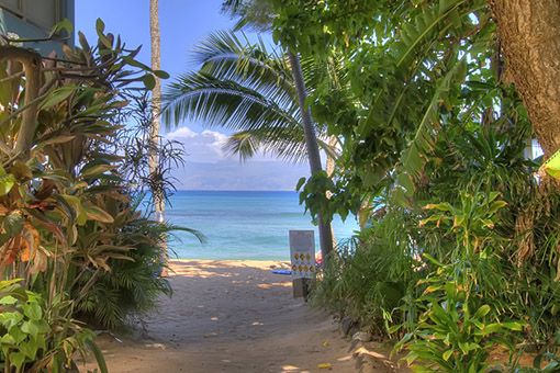 Napili Bay – West Maui Vacation Rentals Resort-7