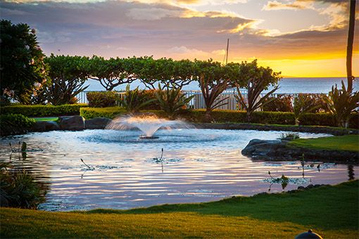 Whaler – West Maui Vacation Rentals Resort-3
