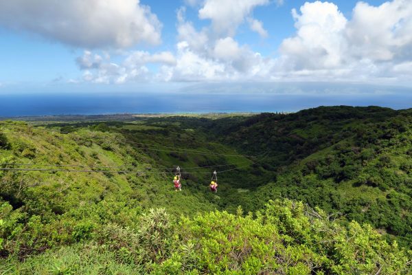 Two people in red harnesses ziplining over a green hillside with the ocean and blue sky in the distance.